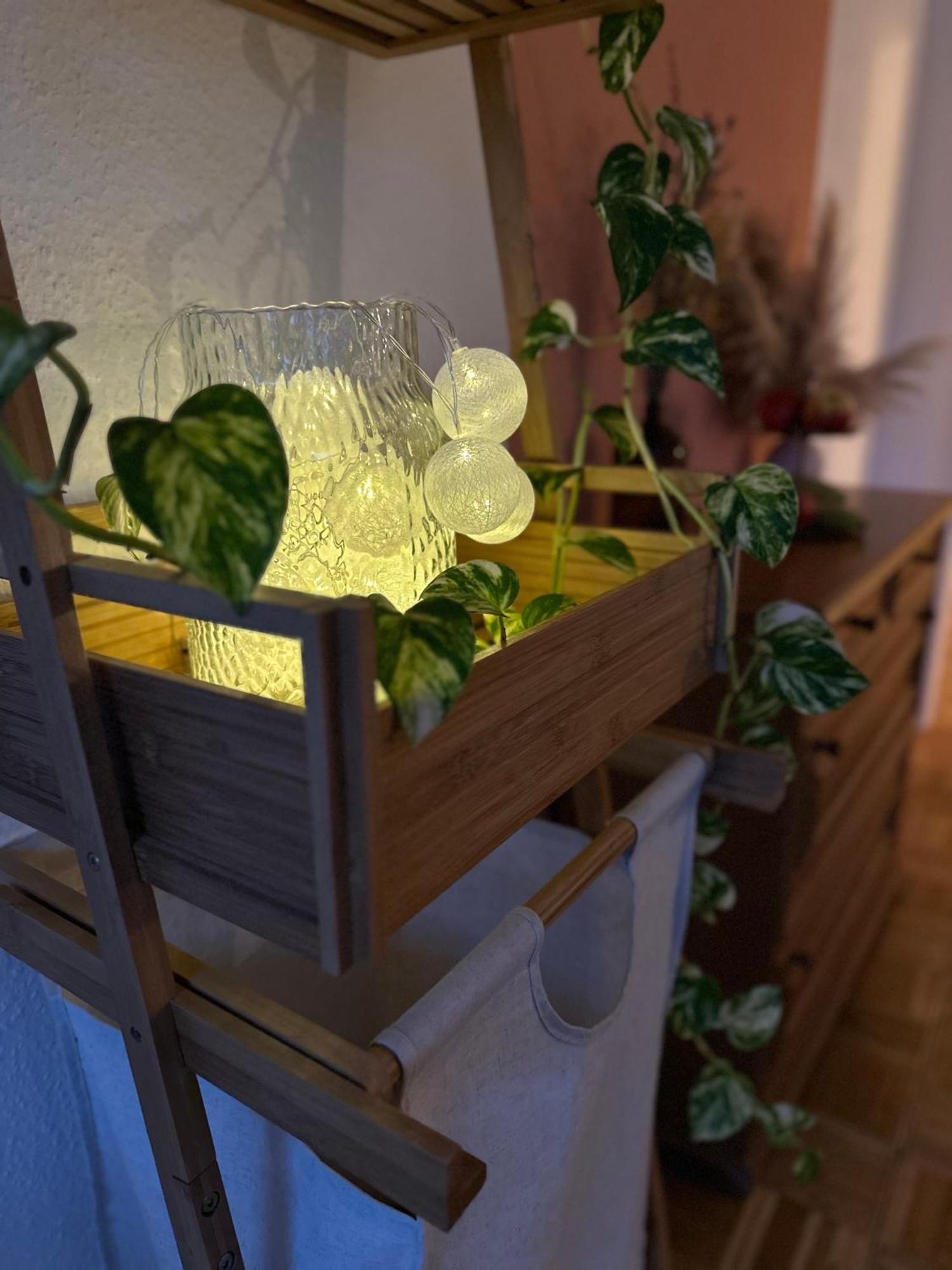 Charmante Wohnung Im Zentrum Leipzig Exteriör bild